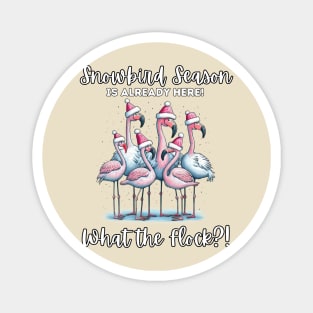 Flamingos and Snowbirds Magnet